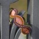 Pulseira de Couro Revestido a Missanga