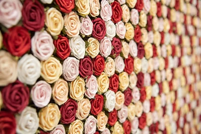 580db3_cb241f2712924414b52119948e1e6865mv2